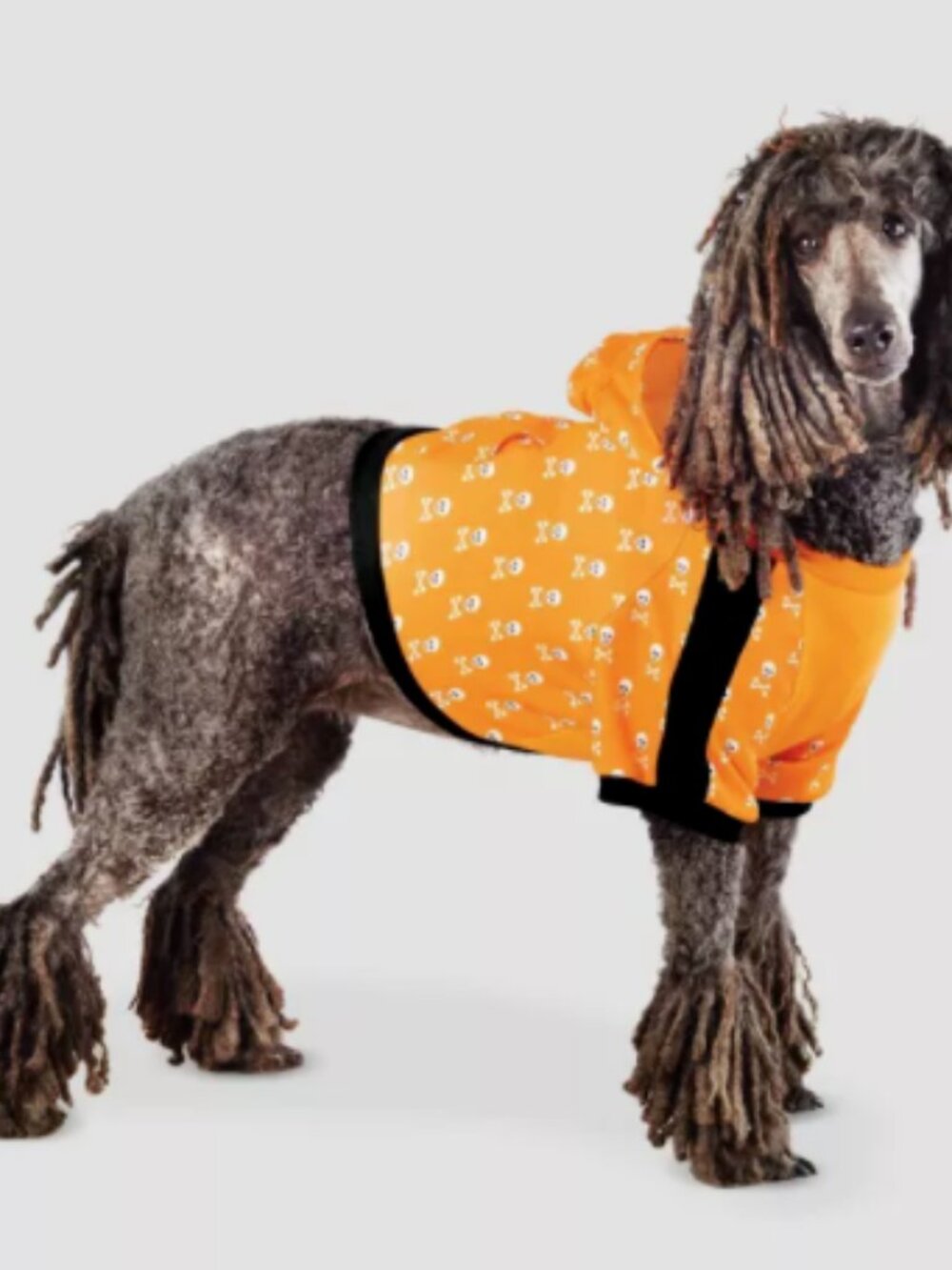 Hide & Eek Dog Hoodie Pet Costume XL Halloween Orange Black Skull Crossbones